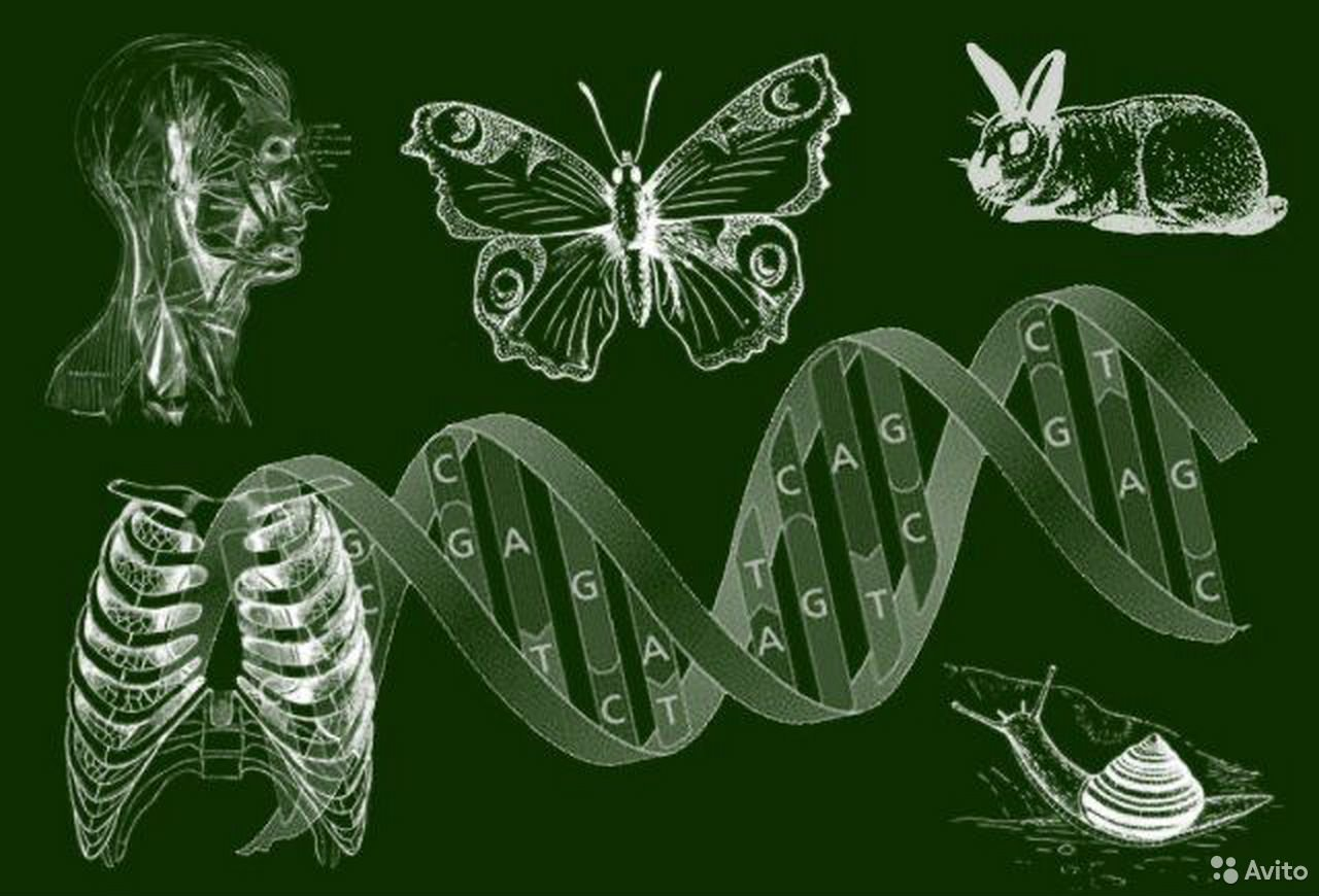 Биология в XXI веке: научные школы и направления исследований